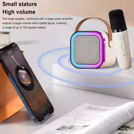Mini Bluetooth Speaker + 2 Mics